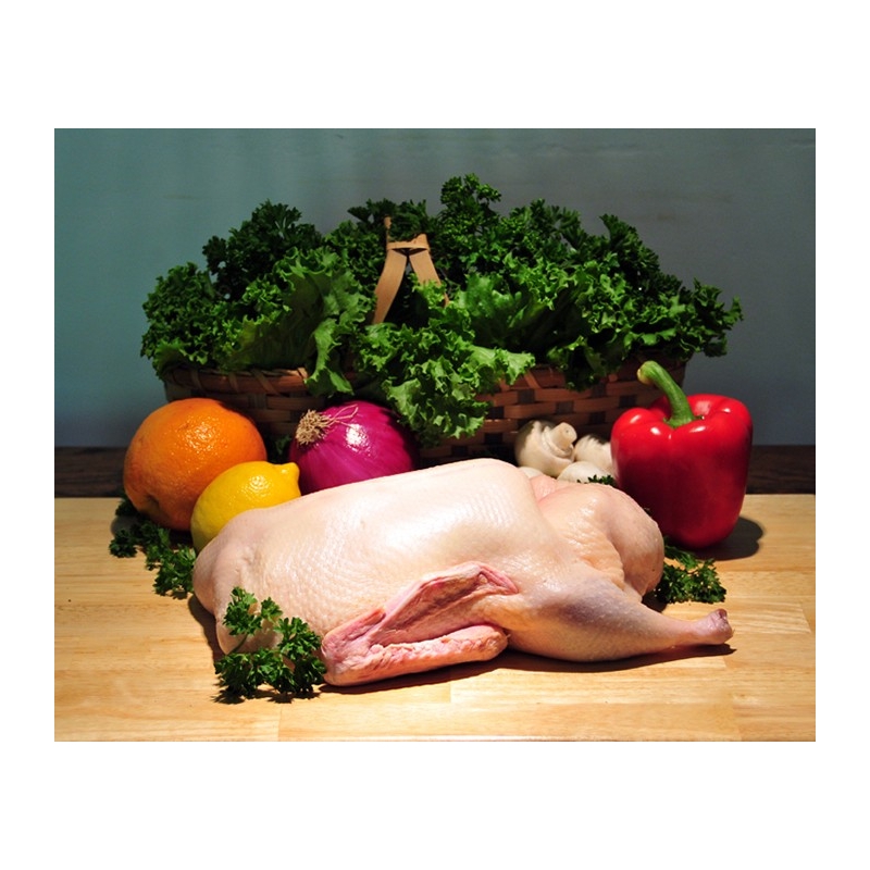 Whole Young Duck - Approx. 5 lb. 2.3 kg - Guaranteed Overnight