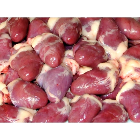 Duck Hearts